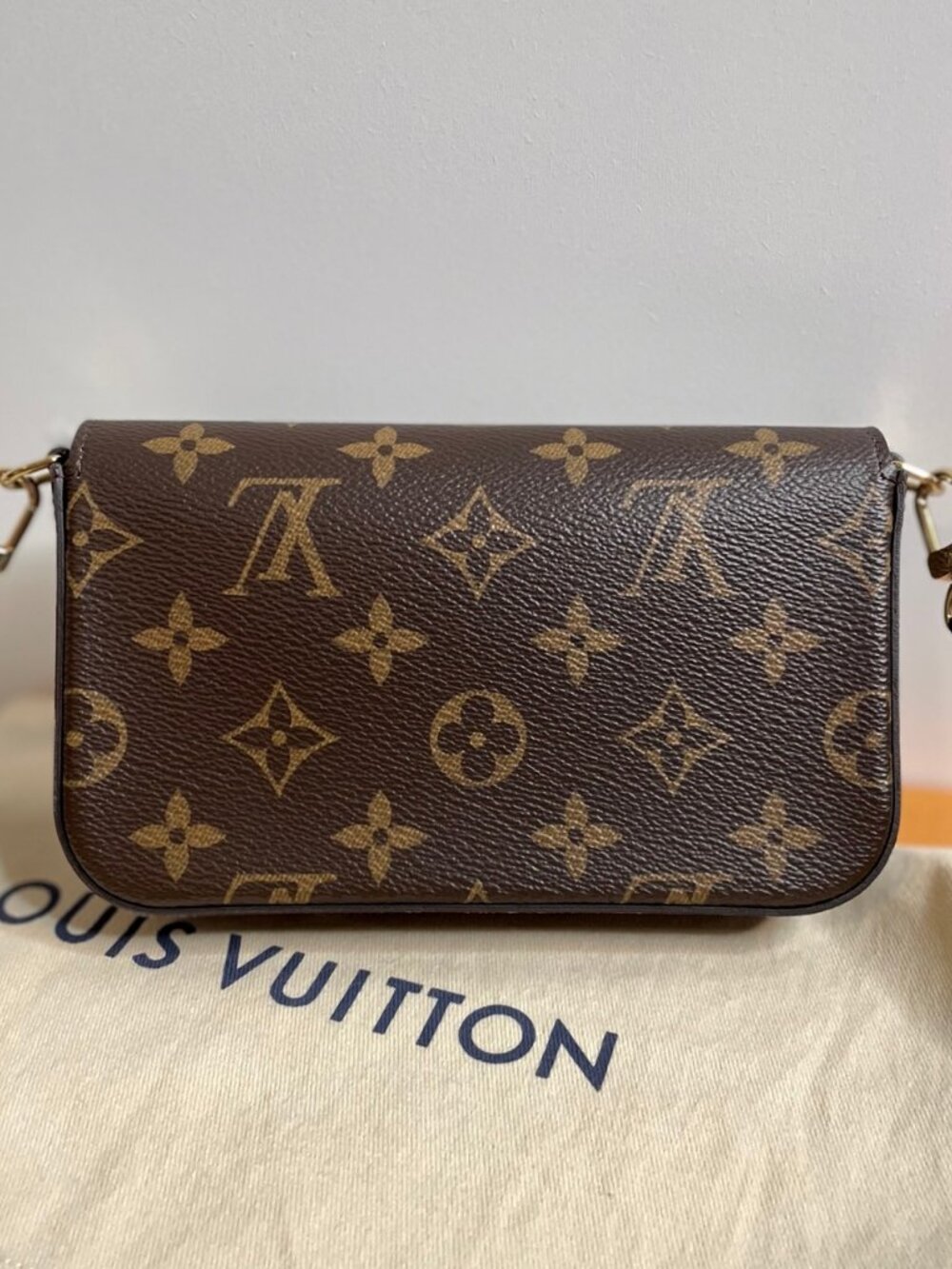 Louis Vuitton Felicie Strap & Go - Picture 5 of 9